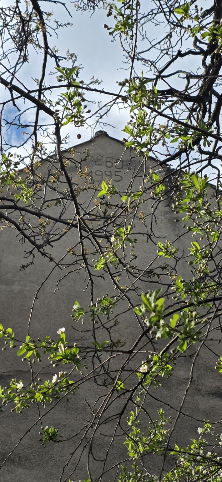 Exteriorul casei și grădina
